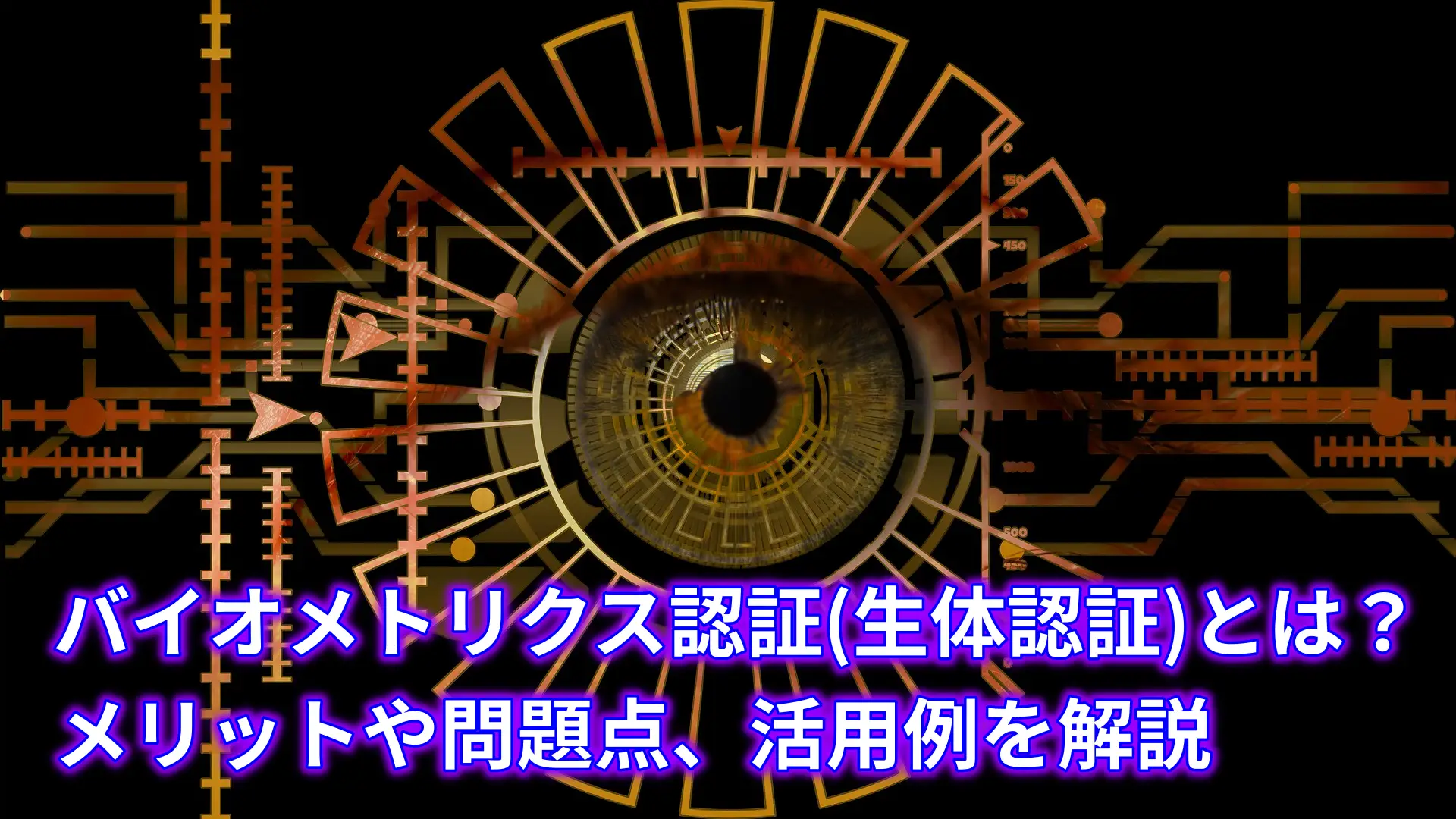 バイオメトリクス認証(生体認証)とは？メリットや問題点、活用例を解説